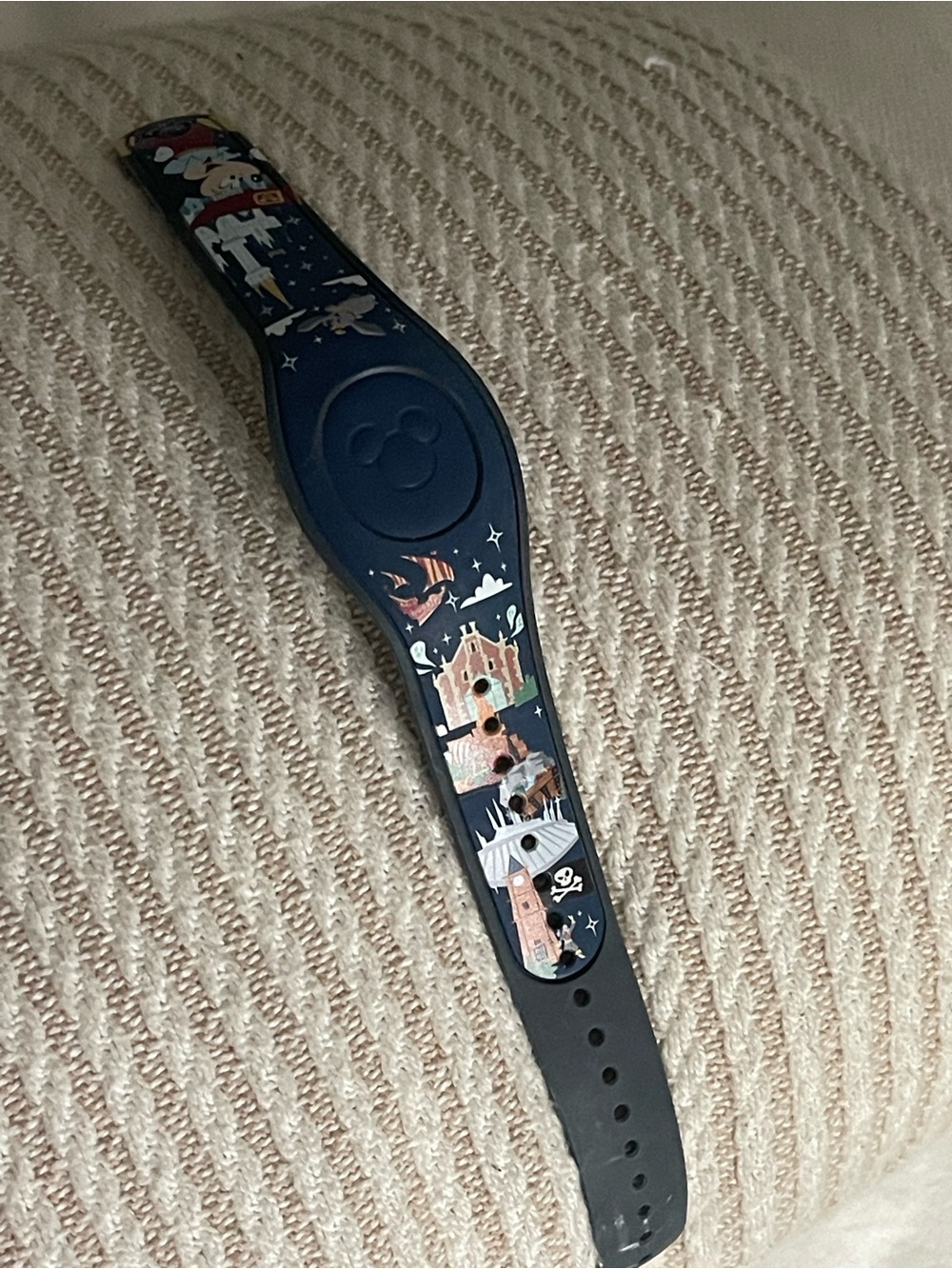 Limited Edition “Disney Park Life” MagicBand2